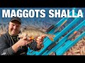 Maggot shallow rig  no nonsense guide  jamie hughes