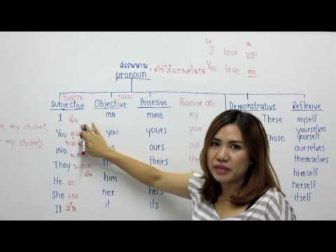 Basic English : Pronoun-1 (คำสรรพนาม)