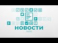 Новости Владимира и Владимирской области 30 января 2024 года. Дневной выпуск