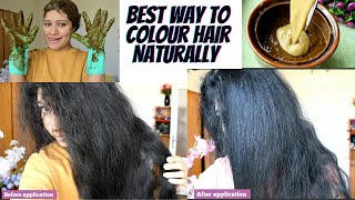 Colour Your Hair Naturally With This Henna Hair Mask and Grow Thick,Long Hair/ Henna Hair Mask