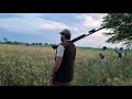 Quail hunting  batair ka shikar season 2024 with shotkam by malik sarfraz khokhar 