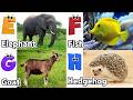 ABC Jungle Animal Sounds 589TH1 | Nursery Rhyme for Kids | Koko Study Class