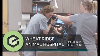 Wheat Ridge Animal Hospital 24/365 Emergency Department