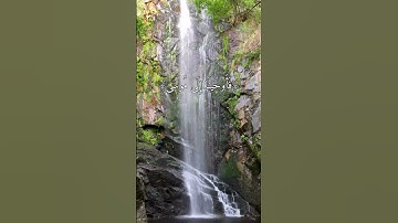 قَالَ كَلاَّ إِنَّ مَعِيَ رَبِّي سَيَهْدِينِ | سورة الشعراء | اسلام صبحي