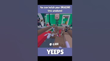 YEEPS: DRAGON FEST IS CHAOS!