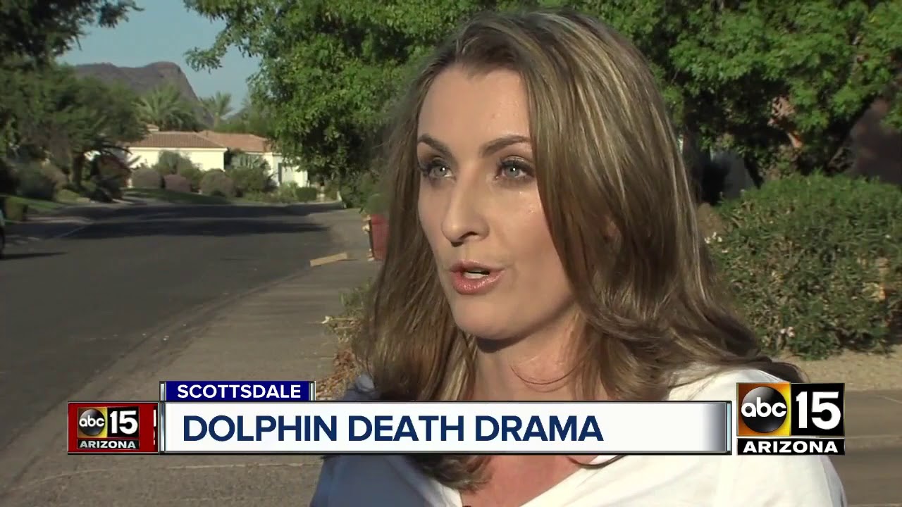 Female dolphin died from 'acute bacterial infection,' Dolphinaris Arizona says