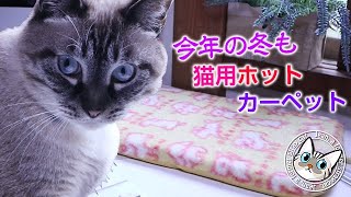 涼しくなったので猫用ホットカーペットを出しました【Jean & Pont 1906】2019/10/17 #ジャン #ポン