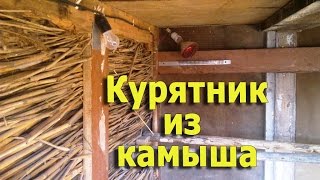 Строительство теплого курятника из камыша (укр.)(, 2016-11-06T12:46:54.000Z)