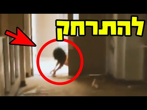 וִידֵאוֹ: מה אמרו למדענים 30 מומיות מצריות וממצאים ארכיאולוגיים חשובים אחרים של העשור האחרון