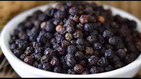 13 सितंबर दशमी तिथि को 5 काली मिर्च का ये उपाय बना देगा आपको करोड़पति || Pradeep Ji Mishra