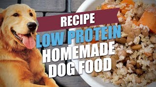 List of 23 how to make homemade dog food low fat low protein