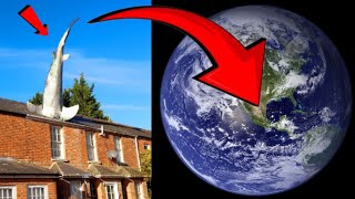 I Found The Heading Shark On Google Earth 3D