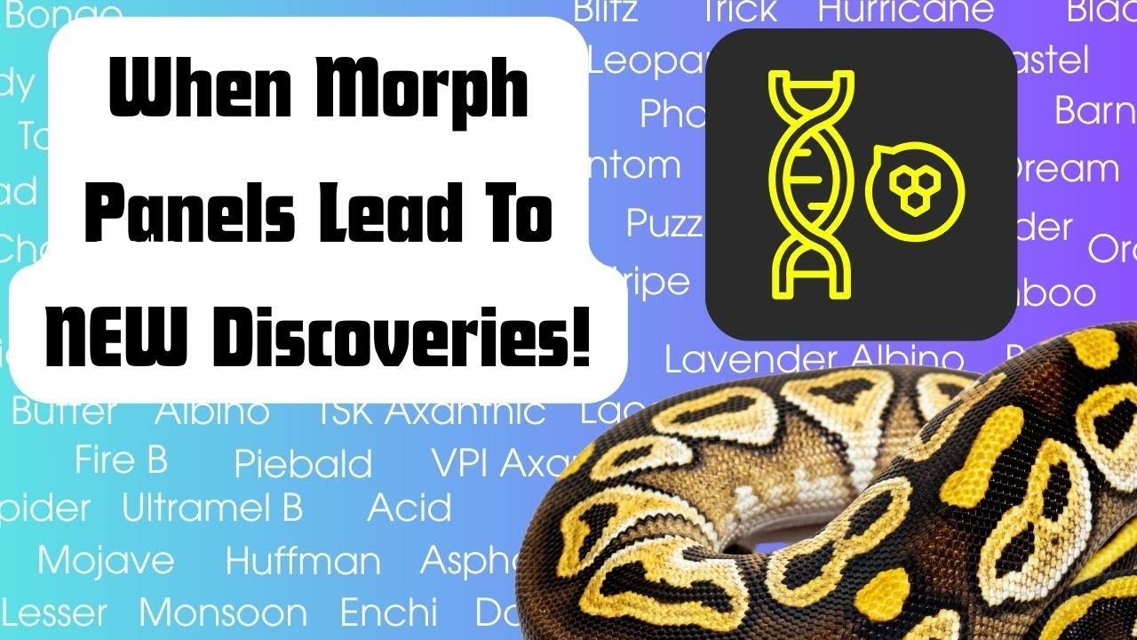 When Morph Panels Lead To Discoveries! | Reptile Genetics Weekly Ep 124