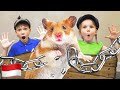 Lima Anak dan Hamster Yang Hilang Lagu Anak Anak Bahasa Indonesia