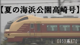 E653系K70編成・特急【夏の海浜公園高崎号】岡部～本庄・岡部駅・本庄駅