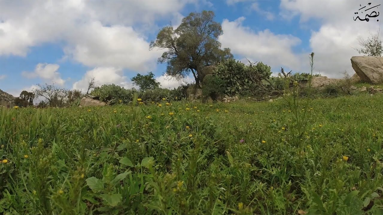 سلام يالديرة 😭 | طرق الجبل | اداء المبدع عادل المالكي