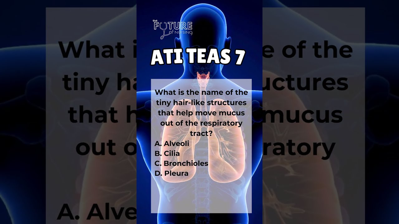 TEAS 7 Nursing Science Practice Question 45