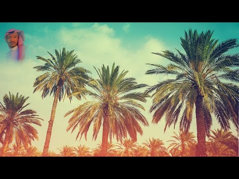مجرورة كثر الاثمان يوسف الودياني السلمي