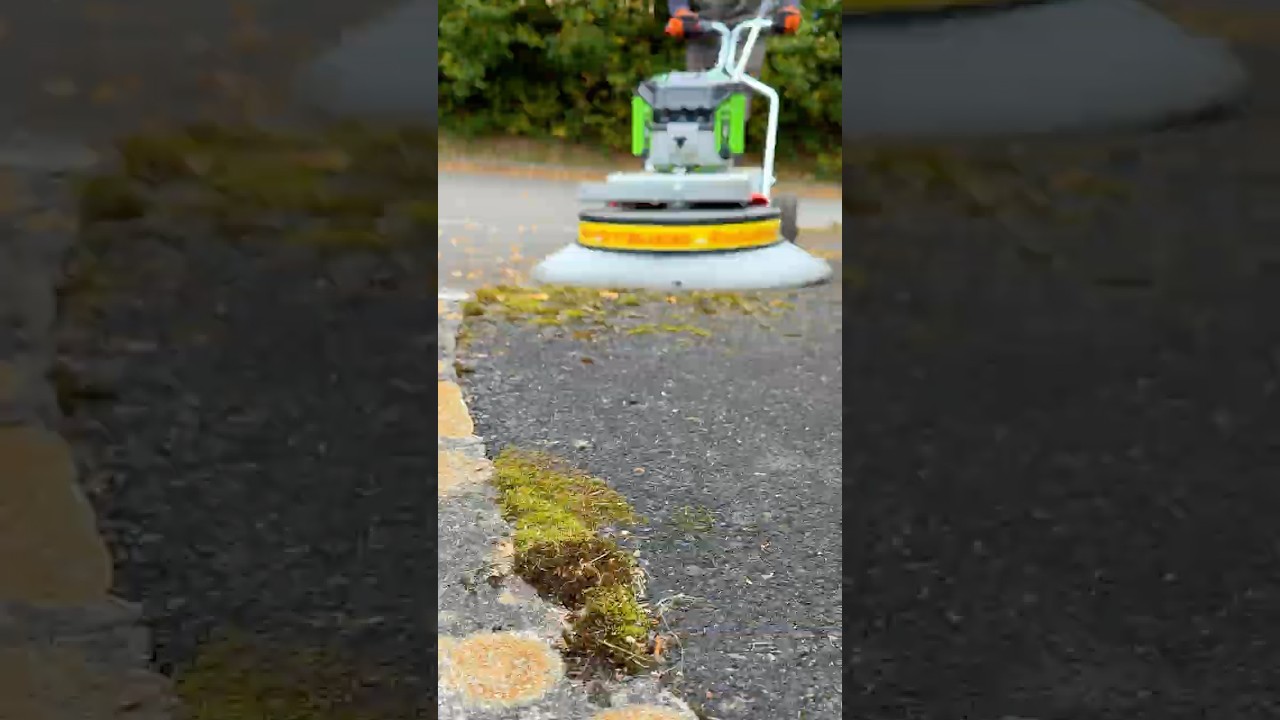 Westermann EGO Battery Moss Brush WR870