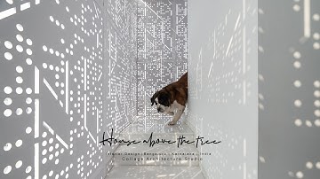 House above the Tree - Collage Architecture Studio