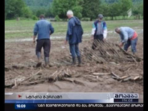 დაზიანებულია გზები, საყანე ფართობები და საცხოვრებელი სახლები-სტიქია გურიაში
