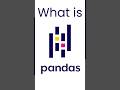 What is Pandas? Python Data Library Overview 📊