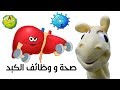 وظائف الكبد للأطفال مع سوبر جميل | حماية الكبد من فيروس سي