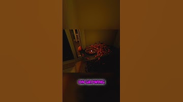 I Made The Candy Pile IMPOSSIBLY Big!