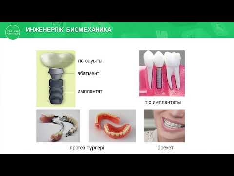 10 класс Биология Абдыкалыкова С Б БИОМЕХАНИКА