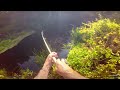 JUNGLE FISHING: Exploring River Never Fished for Years!