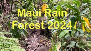 Exploring the #IAOvalley rain forest in Maui 2024