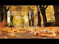 哀愁のトレモロ 南一誠 cover ふじいますお