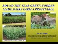ROUND THE YEAR GREEN FODDER MADE DAIRY FARM A PROFITABLE- P. C. Patel