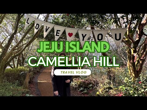 Camellia Hill Jeju Island | Jeju Island Vlog
