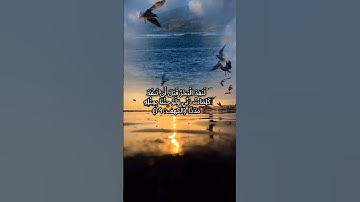 تلاوة قصيرة من سورة الكهف #سورة_الكهف #تلاوة_خاشعة #quran #القرآن_الكريم #islamic #سعود_الشريم