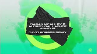 Ciaran McAuley & Audrey Gallagher - Armour (David Forbes Remix)