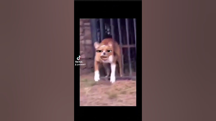 Đã bảo đừng có chọc