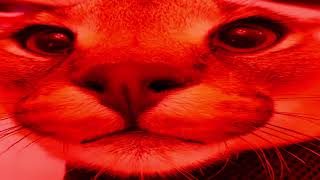 Big Floppa But Only When Hes Angry