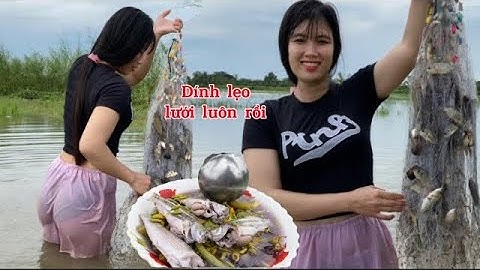 Mùa nước nổi ra đồng giăng lưới được mớ cá chốt nấu canh chua ngon quá #thanhgiangvlog 