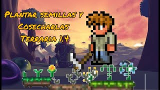 Terraria Macetas