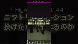 【裏技】公式で出来るエンダードラゴンをチキンに変える方法ww【マイクラ　解説　検証】shorts