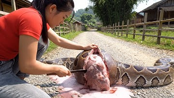 rescue animal: Giant Python Attacks Rooster Family