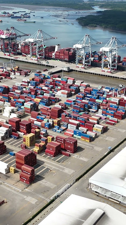 The Farmer Grows Everything In One Farm