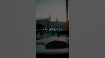 يابني أقم الصلاة وأمر بالمعروف وانه عن المنكر - القارئ إسلام صبحي 🌿💚