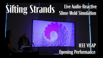 Sifting Strands - Live at IEEE VISAP
