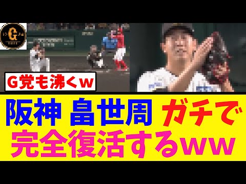 【元巨人】畠世周さんの活躍にＧ党も沸くｗｗｗ
