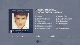 İbrahim Erkal Yollar Müziksiz