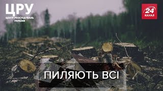 Як на Харківщині нахабно розкрадають десятки гектарів лісу, ЦРУ