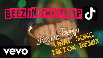 OFFICIAL MUSIC VIDEO: Beez in the Trap X What’s Up. Nicki Minaj X 4 Non Blondes