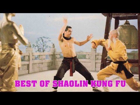 Wu Tang Collection - Best of Shaolin Kung Fu